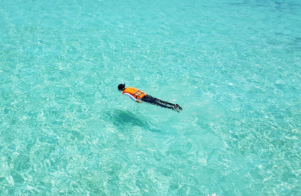 maldives, snorkeling, swimming