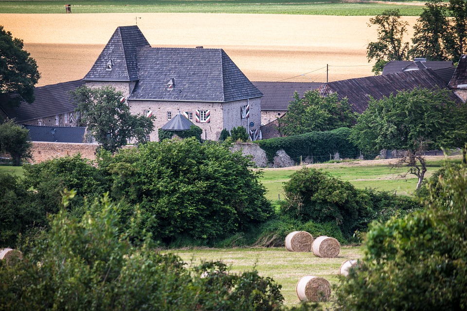 castle, reiterhof, fields