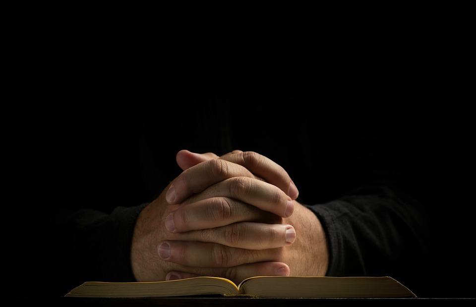 bible, hands, prayer