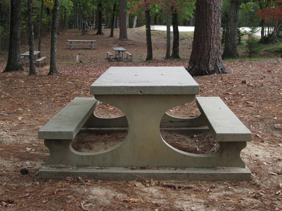 picnic table, state park, park