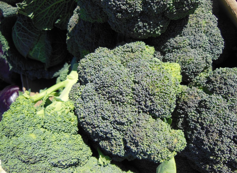 broccoli, vegetables, fresh vegetable market