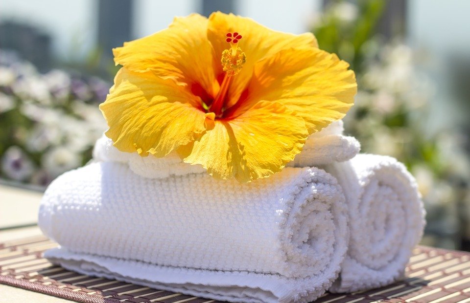 towel, hibiscus, clean