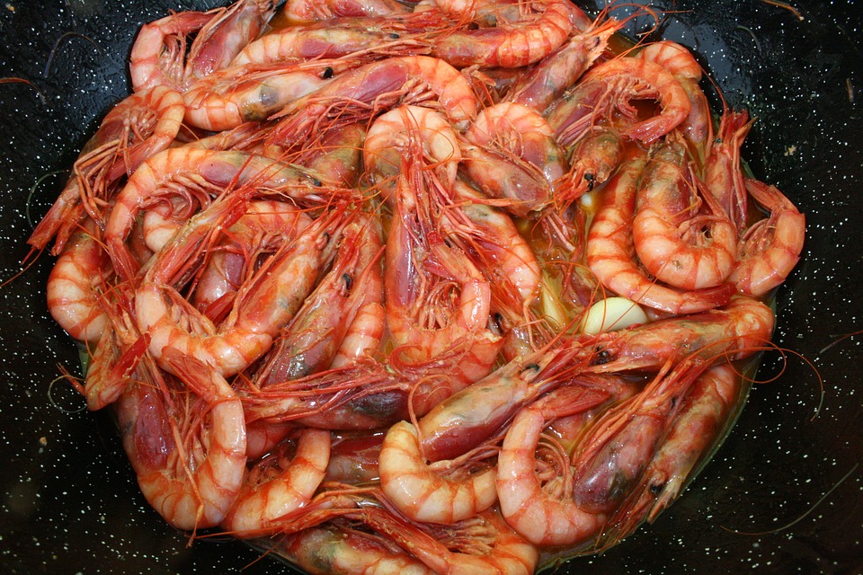 prawn, seafood, dish
