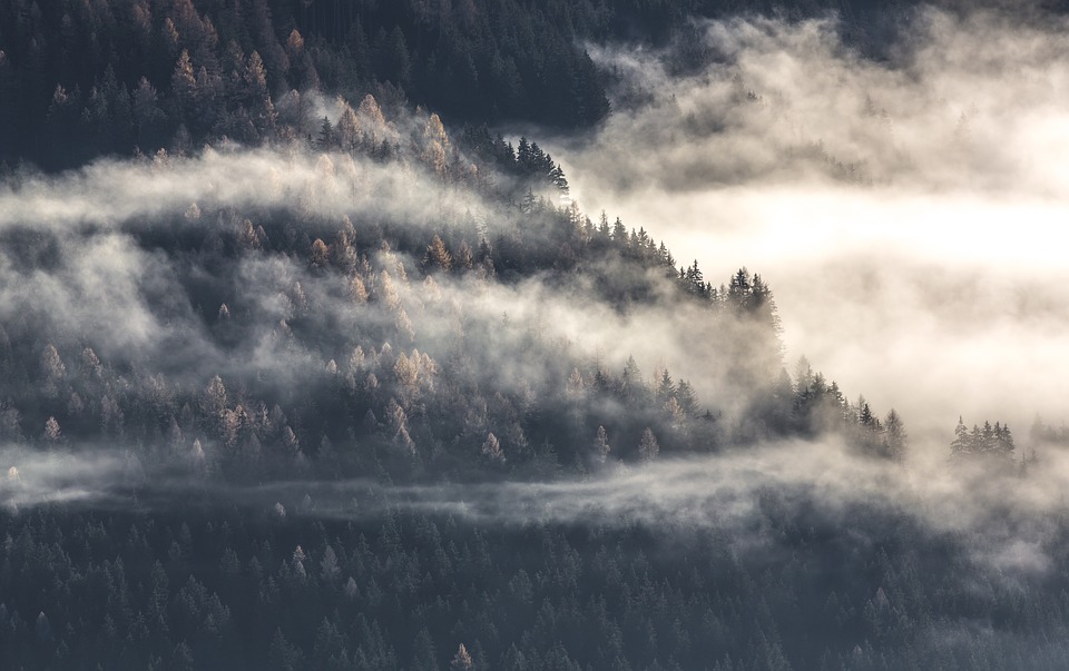 aerial, fog, mountain top