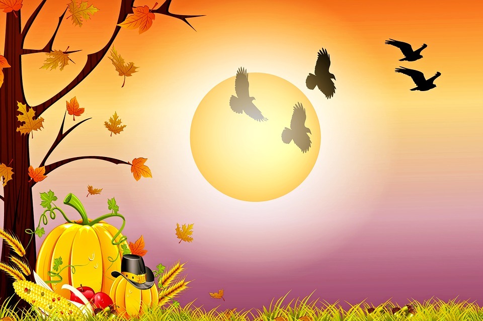 autumn landscape, pumpkin, thanksgiving