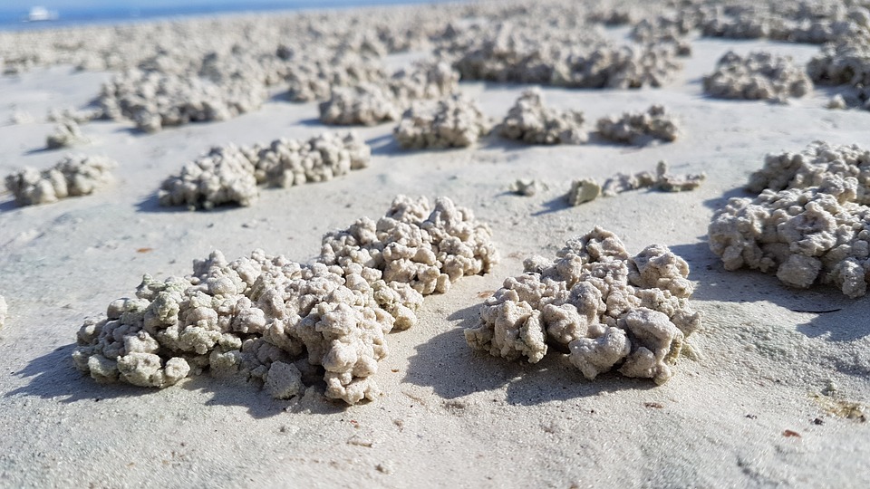 sand, texture, beach