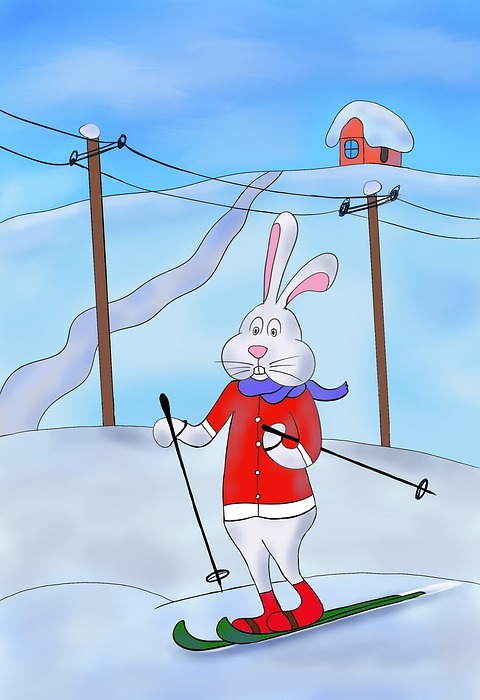rabbit, hare, skiing