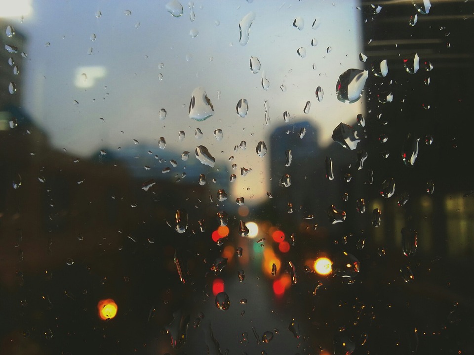 rain drops, rain, window