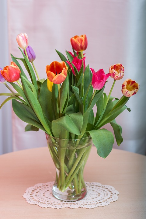 tulips, federal government, bouquet