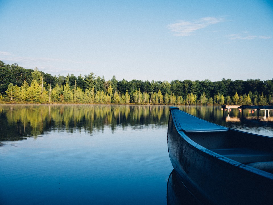 canoe, lake, forest