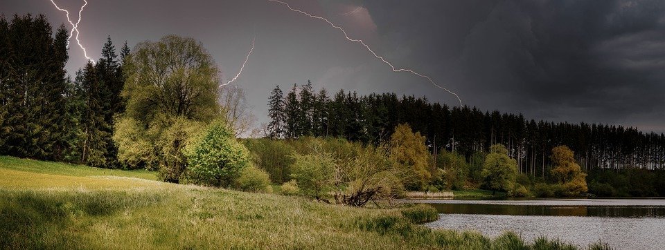 thunderstorm, trees, grass