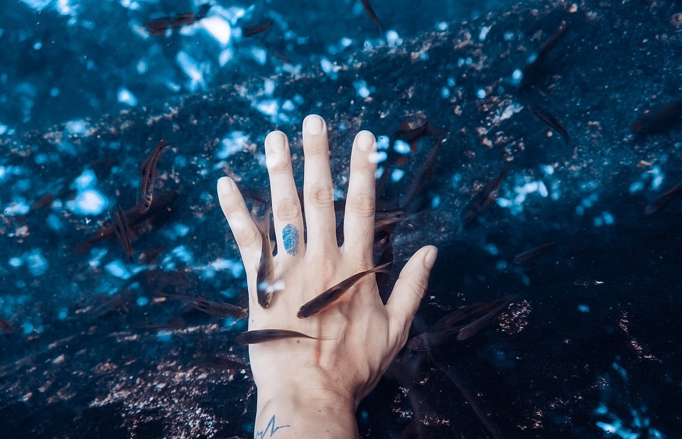 hand, palm, sea