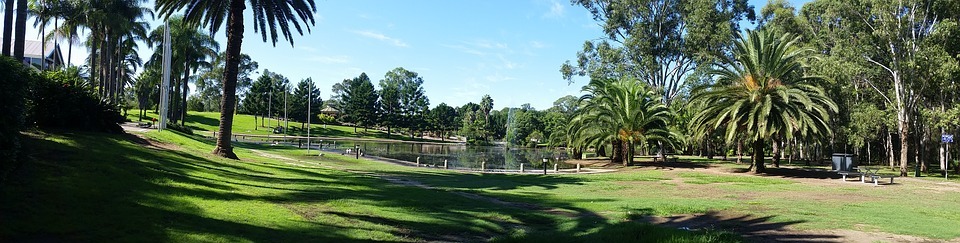 pond, park, grass