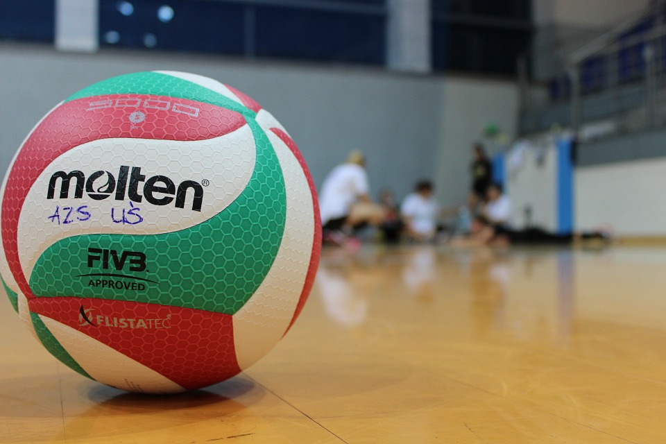 sport, volleyball, the ball