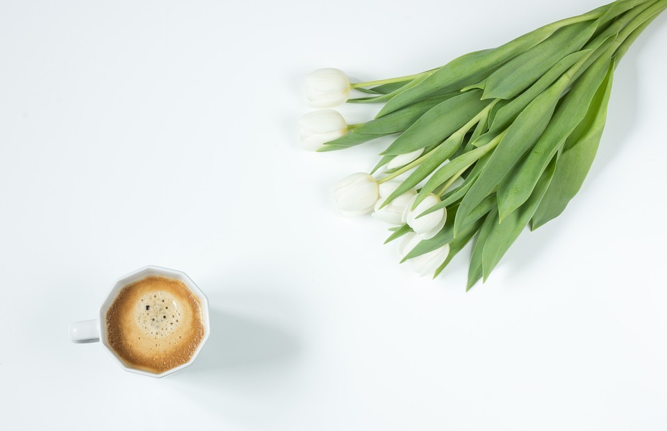 coffee, flowers, tulips