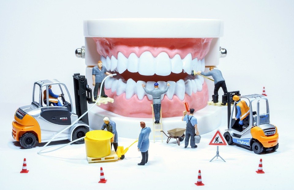teeth, dentist, tooth