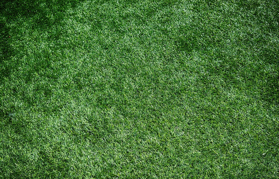 artificial turf, sports turf, artificial grass