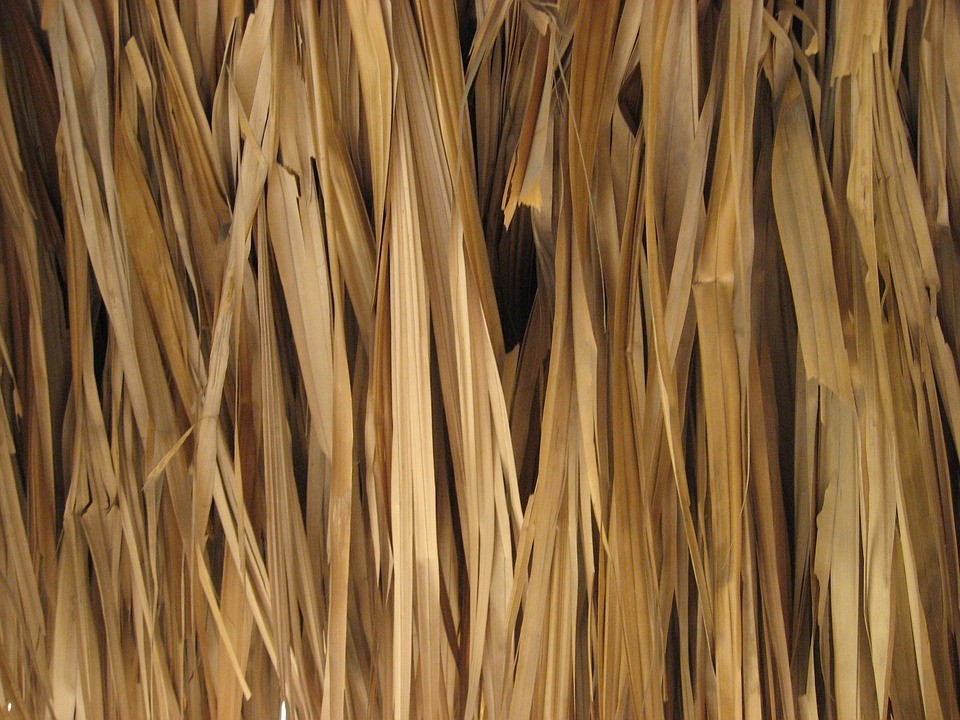 texture, straw, hut