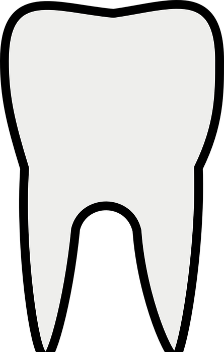 dentistry, tooth, dentist