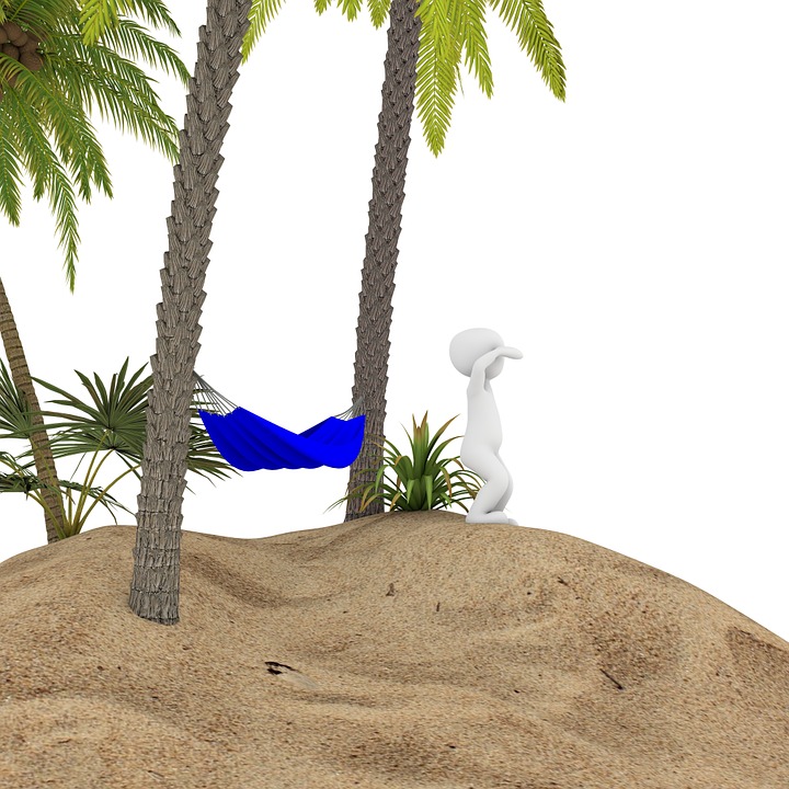 palm, holiday, beach