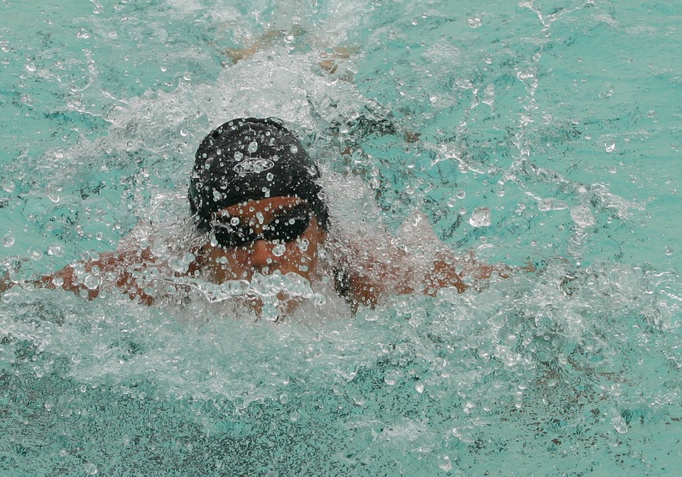 swimming, swimmer, competition