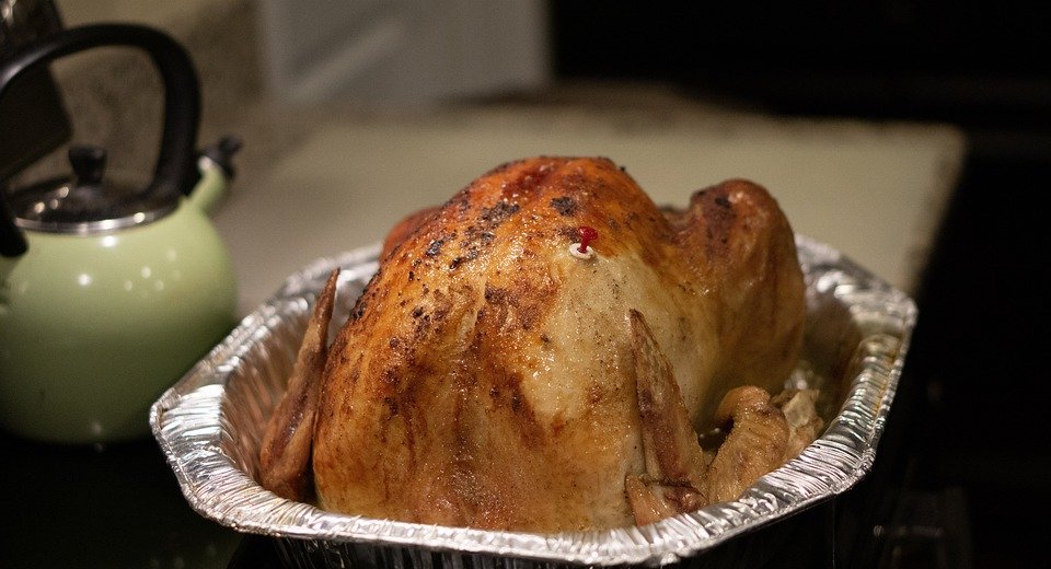 turkey, thanksgiving, cook