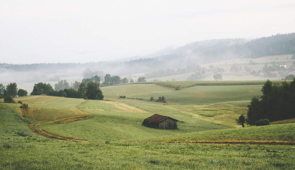 landscape, hills, rural