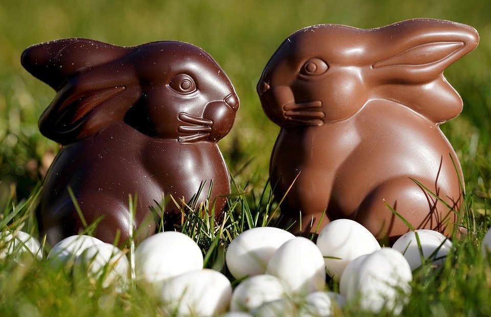 easter bunny, chocolate, holiday
