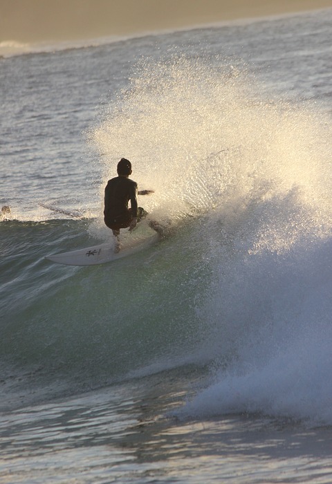 surfing, surf, ocean