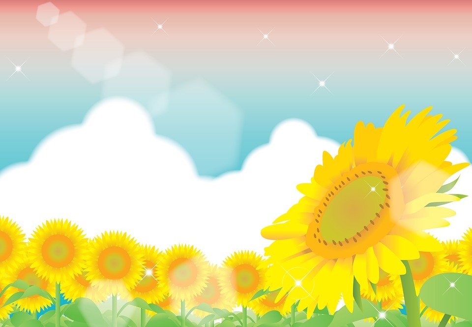 Free sunflower vector Images - Search Free Images on Everypixel
