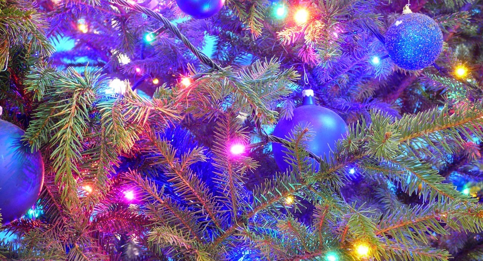 christmas tree, holidays, twigs