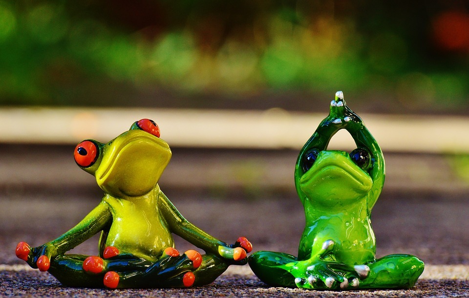 frogs, fig, yoga