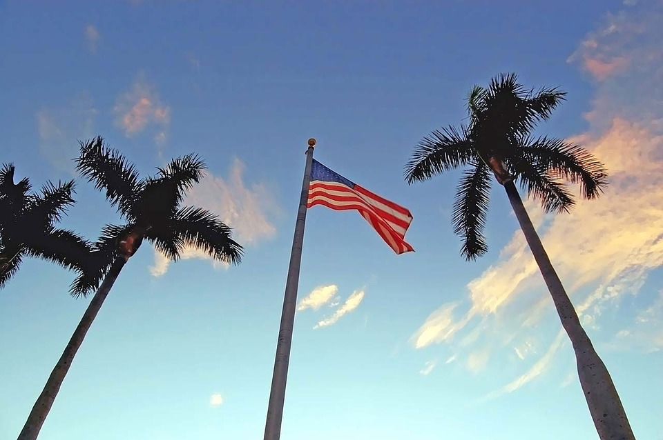 flag, american, palm
