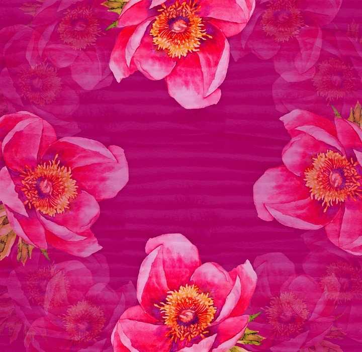 pink, flowers, border