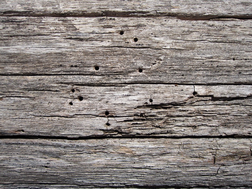 wooden, surface, texture