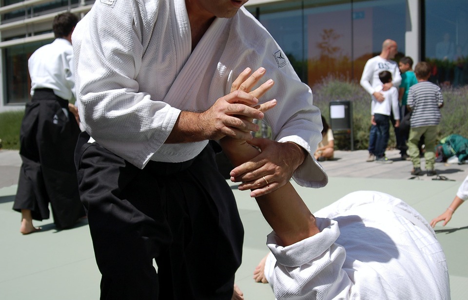 martial arts, aikido, sports