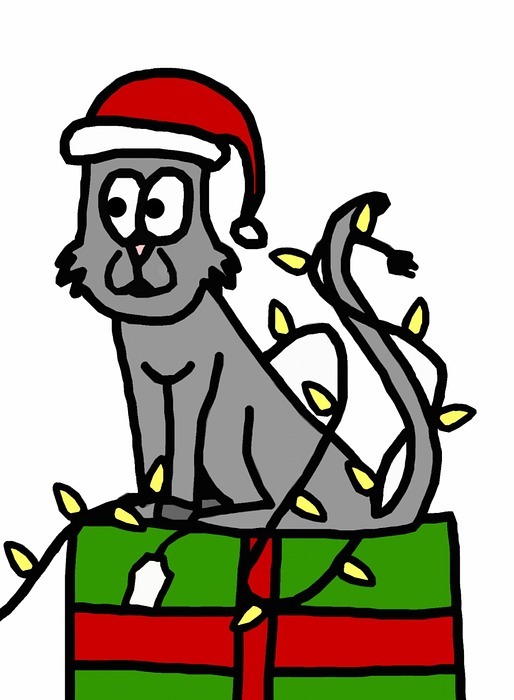 christmas, holiday, cat