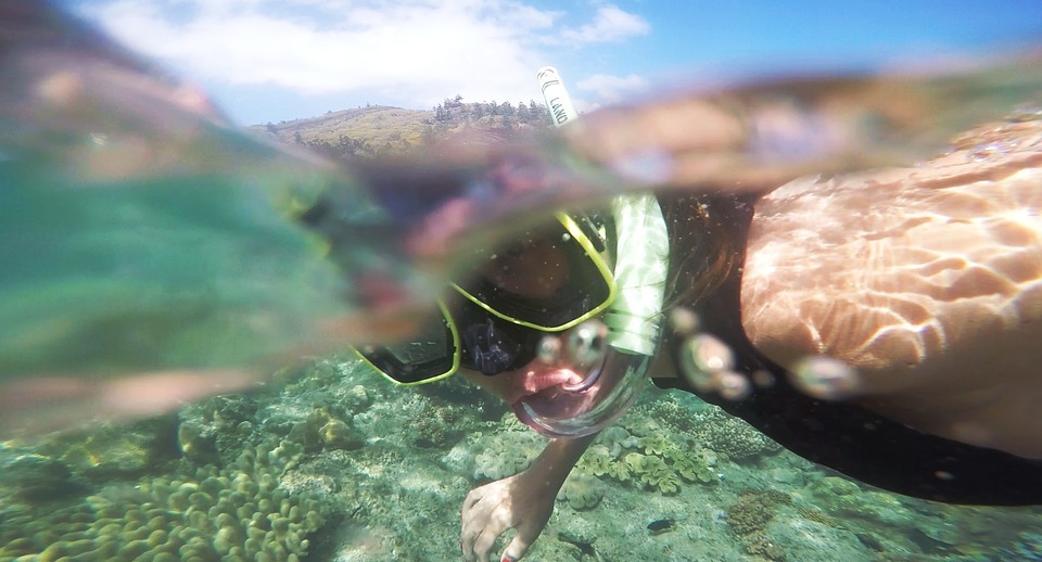 snorkel, diving, fun