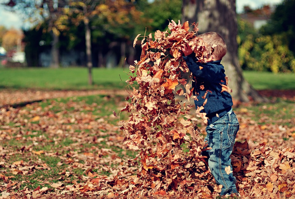 boy, playing, leaves