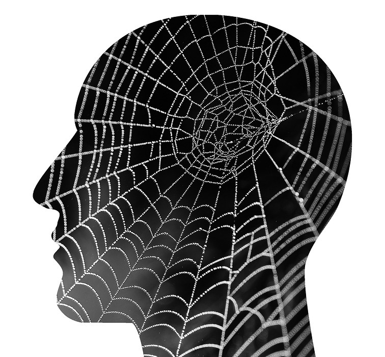 mental health, spider web, psychology