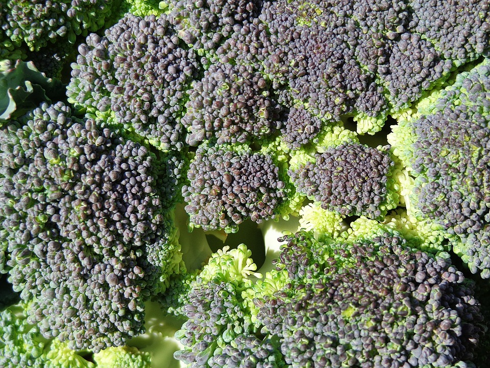 broccoli, vegetables, food