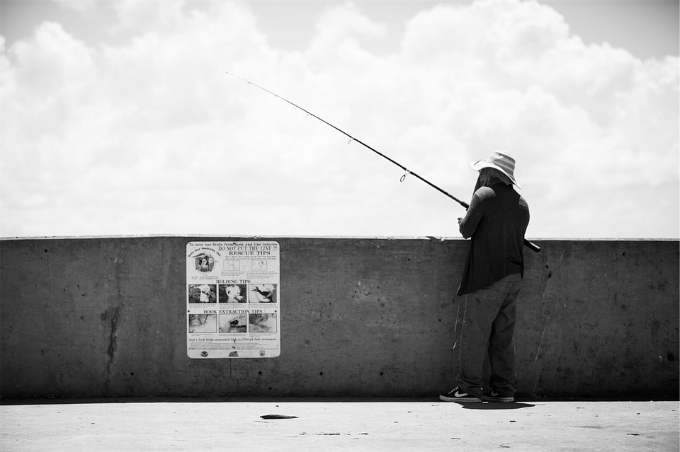 fisherman, fishing, rod