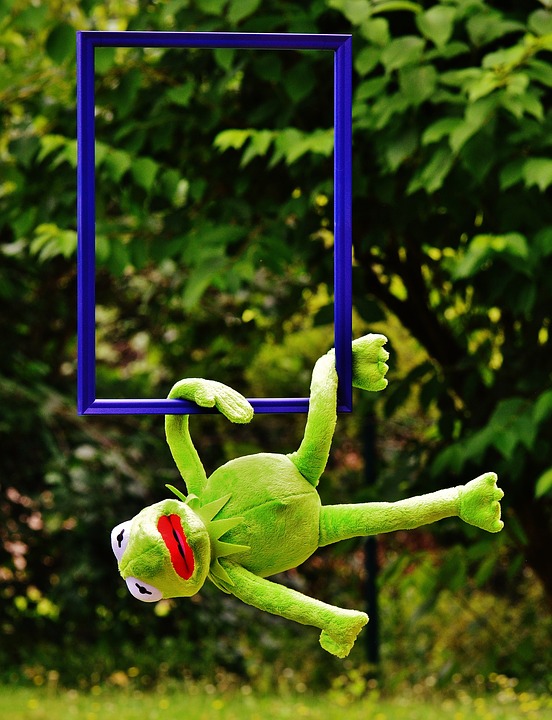 out of the ordinary, kermit, frog