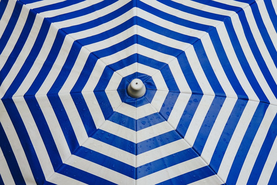 umbrella, parasol, shade
