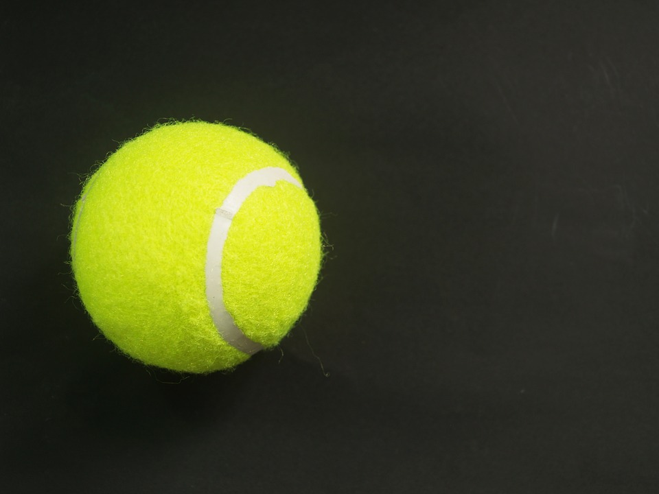 ball, racket, white