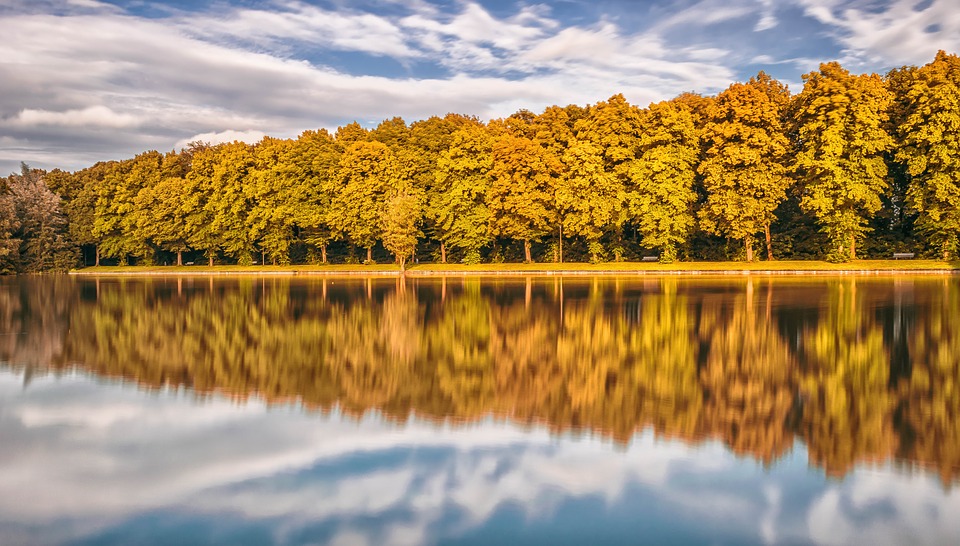 lake, mirroring, forest