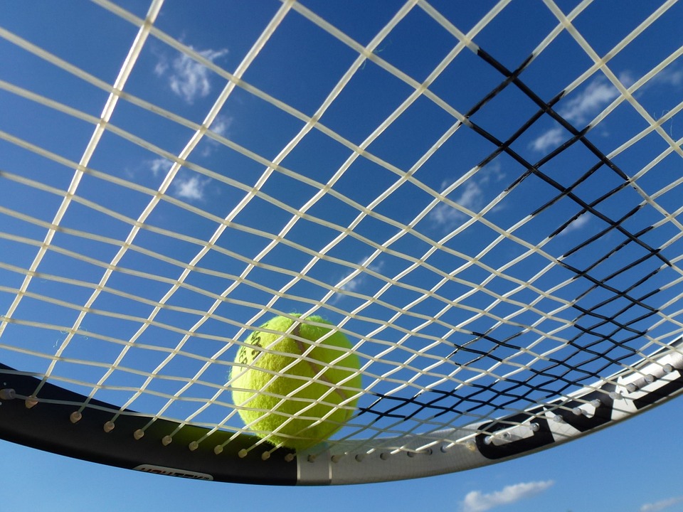 tennis, tennis ball, tennis racket