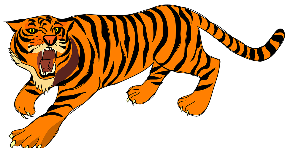 tiger, angry, defense