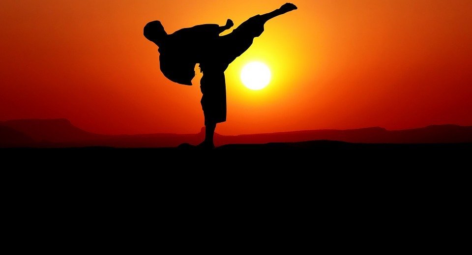 karate, sunset, nature