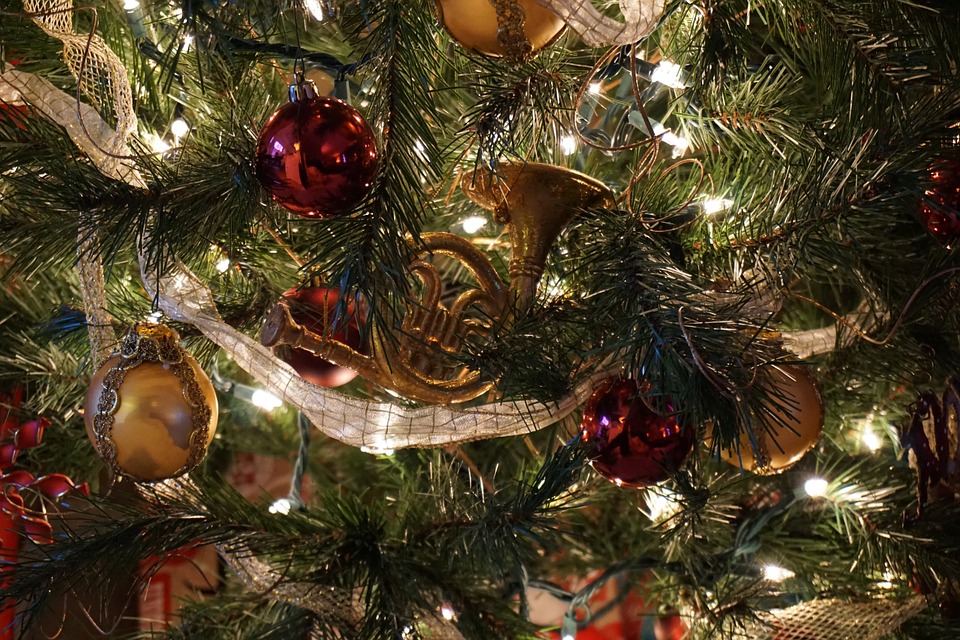 tree, christmas, holiday